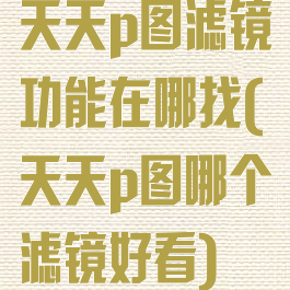 天天p图滤镜功能在哪找(天天p图哪个滤镜好看)
