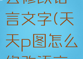 天天p图怎么修改语言文字(天天p图怎么修改语言文字大小)