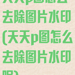 天天p图怎么去除图片水印(天天p图怎么去除图片水印呢)