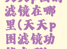 天天p图的滤镜在哪里(天天p图滤镜功能在哪)