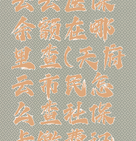 天府市民云云医保余额在哪里查(天府云市民怎么查社保卡缴费记录)