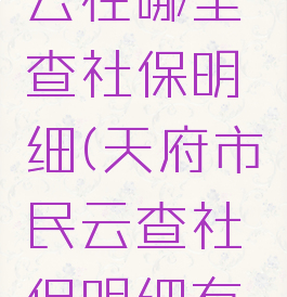 天府市民云在哪里查社保明细(天府市民云查社保明细有延迟吗)