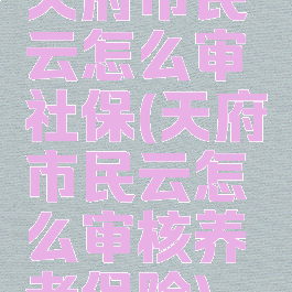 天府市民云怎么审社保(天府市民云怎么审核养老保险)