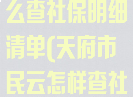 天府市民云怎么查社保明细清单(天府市民云怎样查社保明细)