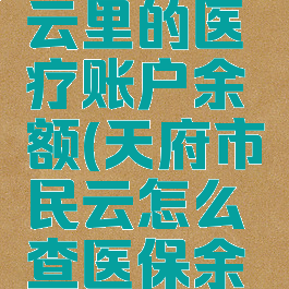 天府市民云里的医疗账户余额(天府市民云怎么查医保余额)