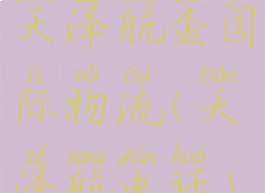 天泽航查国际物流(天泽航电话)