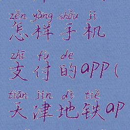 天津地铁怎样手机支付的app(天津地铁app怎么支付)