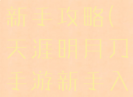 天涯明月游新手攻略(天涯明月刀手游新手入门)