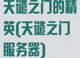 天谴之门的精英(天谴之门服务器)