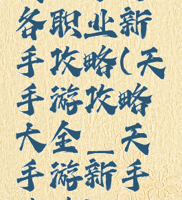 天谕手游各职业新手攻略(天谕手游攻略大全_天谕手游新手攻略)