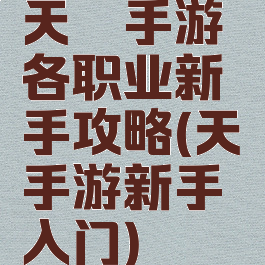 天谕手游各职业新手攻略(天谕手游新手入门)