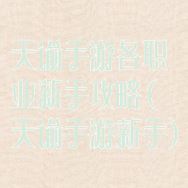 天谕手游各职业新手攻略(天谕手游新手)