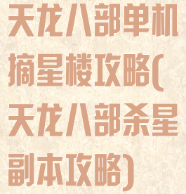 天龙八部单机摘星楼攻略(天龙八部杀星副本攻略)