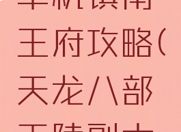 天龙八部单机镇南王府攻略(天龙八部王陵副本攻略)