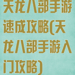 天龙八部手游速成攻略(天龙八部手游入门攻略)