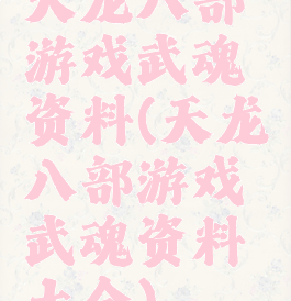 天龙八部游戏武魂资料(天龙八部游戏武魂资料大全)
