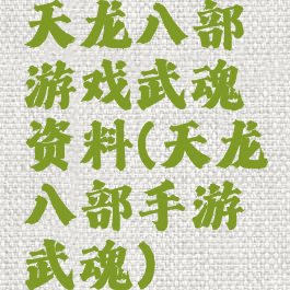 天龙八部游戏武魂资料(天龙八部手游武魂)
