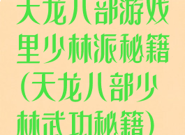 天龙八部游戏里少林派秘籍(天龙八部少林武功秘籍)