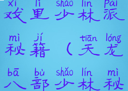 天龙八部游戏里少林派秘籍(天龙八部少林秘籍选择)