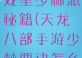 天龙八部游戏里少林派秘籍(天龙八部手游少林要诀怎么弄)