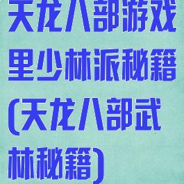 天龙八部游戏里少林派秘籍(天龙八部武林秘籍)