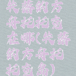 失落的方舟托托克在哪(失落的方舟托托克岛)