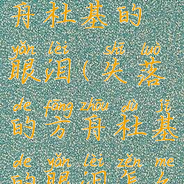 失落的方舟杜基的眼泪(失落的方舟杜基的眼泪怎么获得)