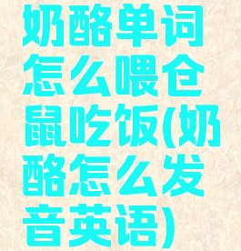 奶酪单词怎么喂仓鼠吃饭(奶酪怎么发音英语)