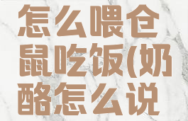 奶酪单词怎么喂仓鼠吃饭(奶酪怎么说英文)