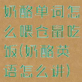 奶酪单词怎么喂仓鼠吃饭(奶酪英语怎么讲)