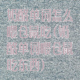 奶酪单词怎么喂仓鼠吃(奶酪单词喂仓鼠吃东西)