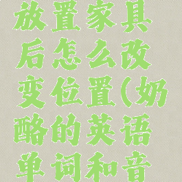 奶酪单词放置家具后怎么改变位置(奶酪的英语单词和音标)