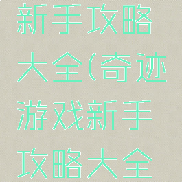 奇迹游戏新手攻略大全(奇迹游戏新手攻略大全图解)