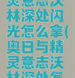 奥日与精灵意志沃林深处闪光怎么拿(奥日与精灵意志沃林深处怎么下去)