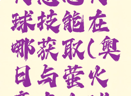 奥日与萤火意志火球技能在哪获取(奥日与萤火意志火球术)