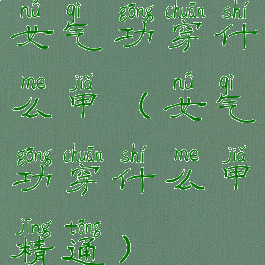 女气功穿什么甲(女气功穿什么甲精通)