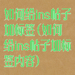 如何给ins帖子加标签(如何给ins帖子加标签内容)