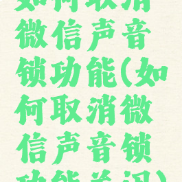 如何取消微信声音锁功能(如何取消微信声音锁功能关闭)