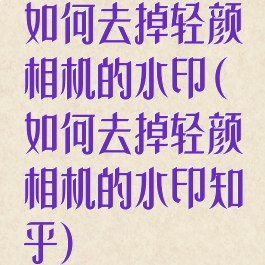 如何去掉轻颜相机的水印(如何去掉轻颜相机的水印知乎)