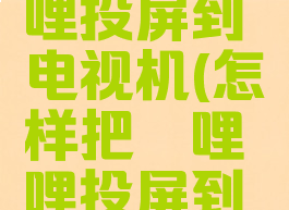 如何哔哩哔哩投屏到电视机(怎样把哔哩哔哩投屏到电视)