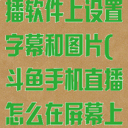 如何在斗鱼直播软件上设置字幕和图片(斗鱼手机直播怎么在屏幕上加字)