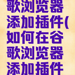 如何在谷歌浏览器添加插件(如何在谷歌浏览器添加插件设置)