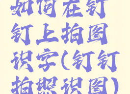 如何在钉钉上拍图识字(钉钉拍照识图)