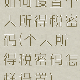 如何设置个人所得税密码(个人所得税密码怎样设置)