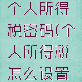 如何设置个人所得税密码(个人所得税怎么设置个税密码)