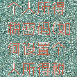 如何设置个人所得税密码(如何设置个人所得税密码保护)