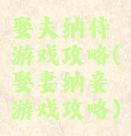 娶夫纳侍游戏攻略(娶妻纳妾游戏攻略)