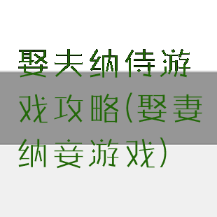 娶夫纳侍游戏攻略(娶妻纳妾游戏)