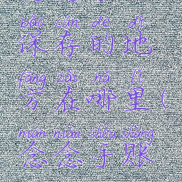 念念手账保存的地方在哪里(念念手账怎么使用)