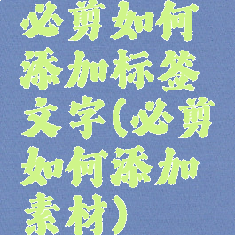 必剪如何添加标签文字(必剪如何添加素材)